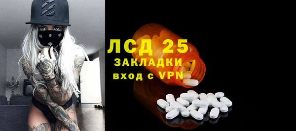 молекула духа Кулебаки