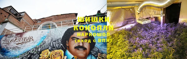 ПСИЛОЦИБИНОВЫЕ ГРИБЫ Куйбышев
