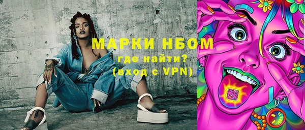 молекула духа Кулебаки