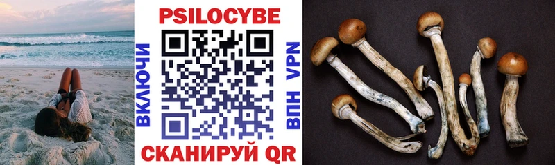 Галлюциногенные грибы Psilocybe  ссылка на мегу онион  Владимир 