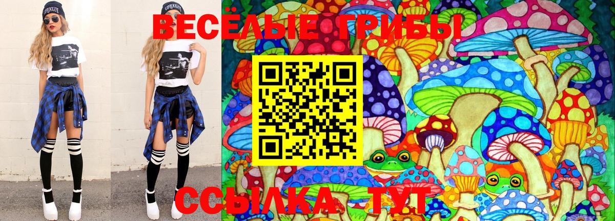 Галлюциногенные грибы Psilocybine cubensis Владимир