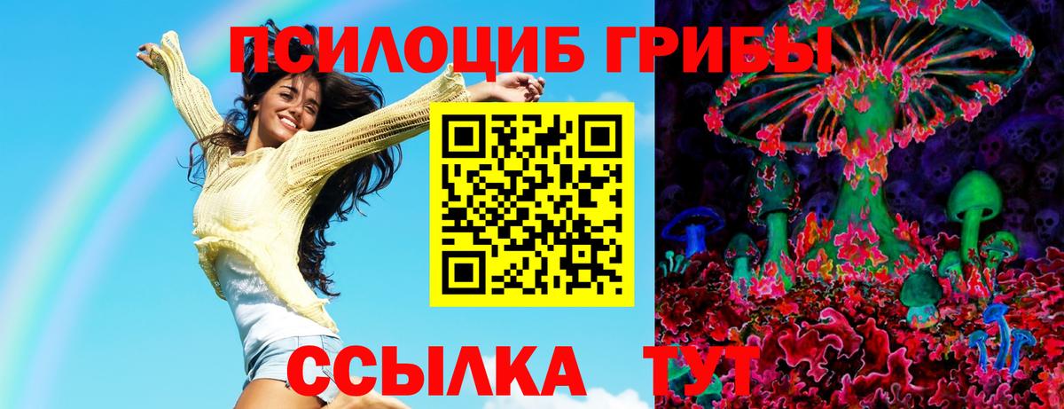 Псилоцибиновые грибы Psilocybine cubensis Владимир