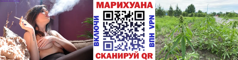 Марихуана Amnesia  Владимир 